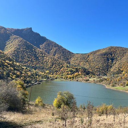 Гостевой дом Gvirilas Sakhli Хашури Экстерьер фото